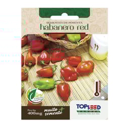 Sementes De Pimenta Habanero Red Tradicional Topseed Garden - Único