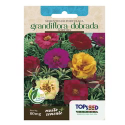 Sementes De Portulaca Grandiflora Dobrada Topseed Garden - 1 Unidade