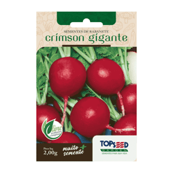 Sementes De Rabanete Crimson Gigante Tradicional Topseed Garden - 1 Unidade