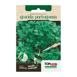 Sementes De Salsa Graúda Portuguesa Tradicional Topseed Garden - 1 Unidade