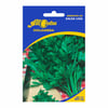 Sementes De Salsa Lisa All Garden - 1 Pacote Para Jardinagem