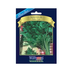 Sementes De Salsa Lisa Blue Line Topseed Garden Único - 1 Unidade