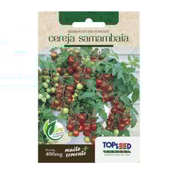 Sementes De Tomate Cereja Samambaia Tradicional Topseed Garden - 1 Unidade