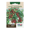 Sementes De Tomate Cereja Samambaia Tradicional Topseed Garden - 1 Unidade