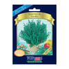 Sementes De Tomilho Blue Line Topseed Garden - Único