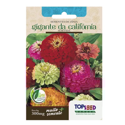 Sementes De Zínia Gigante Califórnia Sortida Topseed Garden - 1 Unidade