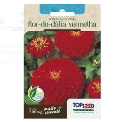 Sementes Flor De Dália Vermelha Topseed Garden Unique - 1 Unidade