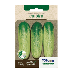 Sementes Pepino Caipira Tradicional Topseed Garden - 1 Unidade