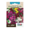 Sementes Phlox Drummond Sortido - Topseed Garden Único - 1 Unidade