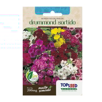 Sementes Phlox Drummond Sortido - Topseed Garden Único - 1 Unidade