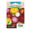 Sementes Sempre Viva Sultane Dobrada Sortida Topseed Garden - 1 Unidade