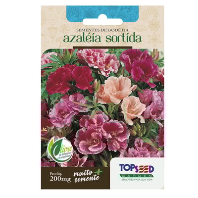 Sementes Tradicional Topseed Garden - Godetia Azáleia Sortida - 1 Unidade