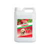 Shampoo Bellokão Framboesa Para Cães E Gatos - 5 Litros