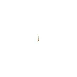 Shampoo Cachorro My Pet 2 Em 1 Coco 700Ml