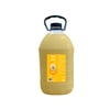 Shampoo Clareador Pet Clean Para Cães E Gatos - 5 Litros