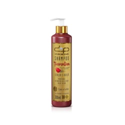 Shampoo Neutralizador De Odores Dolce Pet Turmalina Para Cães E Gatos - 1 Unidade - 300 Mililitros