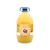 Shampoo The End 5L Para Gatos E Cães - 1 Unidade