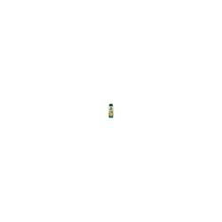 Shampoo Vegano 5 Em 1 Catdog 500Ml Fragrancia Melancia
