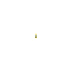 Shampoo Vegano 5 Em 1 Catdog 500Ml Fragrancia Melao