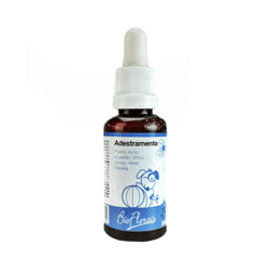 Sistema De Terapia Bio Florais Adestramento - 1 Unidade