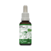 Sistema De Terapia Bio Florais Medo De Fogos - 37Ml