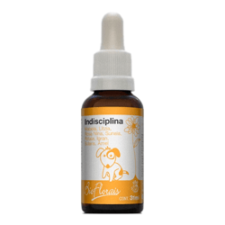 Sistema Terapia Bio Florais Indisciplina - 1 Unidade