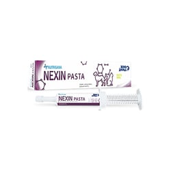 Suplemento Nutrisana Nexin Pasta Para Cães E Gatos - 40G