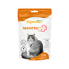Suplemento Organnact Geriatric Plus Cat Para Gatos - 120G