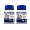 Suplemento Pelo & Derme Gold Vetnil Para Cães E Gatos - 60 Comprimidos