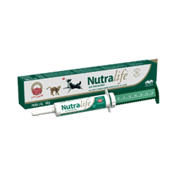 Suplemento Vitamínico Nutralife Para Cães E Gatos 14G - 1 Unidade