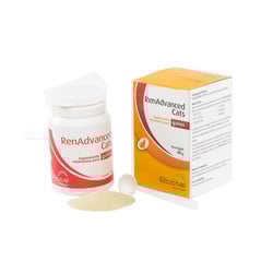 Suplemento Vitamínico Renadvanced Bioctal Para Gatos 40G - 1 Unidade