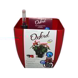 Vaso Autoirrigável Okla Oxford Vermelho 3L Para Jardim