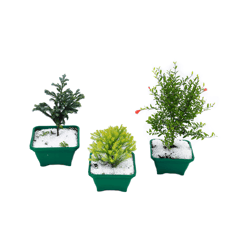 Vaso Bonsai Junior De Porcelana - Único