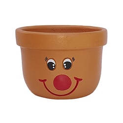 Vaso Carinha Da Alegria Boa Nova Para Jardim