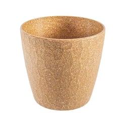 Vaso Colmeia Evo Cerejeira P - 1 Unidade - Tamanho P