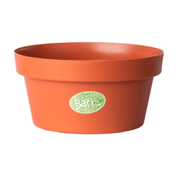 Vaso Cuia Bari Okla Terracota 10X5 Cm