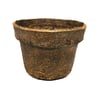 Vaso De Fibra De Coco Coquim Para Jardim
