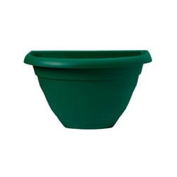 Vaso De Parede West Garden Porto Verde - Com Prato
