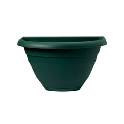 Vaso De Parede West Garden Porto Verde Militar - Com Prato