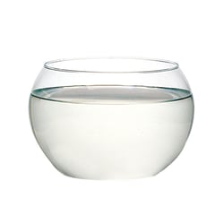 Vaso De Vidro Esferico Aquario 72 Tr Luvidarte M - Tamanho 2