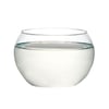 Vaso De Vidro Esferico Aquario 72 Tr Luvidarte M - Tamanho 2