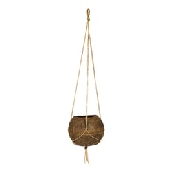 Vaso Decorativo Koquimdama Coquim 12X13 Cm - 1 Unidade