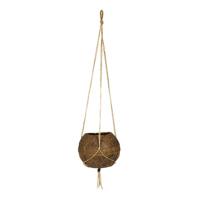 Vaso Decorativo Koquimdama Coquim 12X13 Cm - 1 Unidade