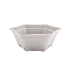 Vaso Desli Branco Para Suculenta/Bonsai - Com Prato