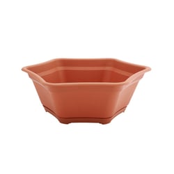 Vaso Desli Para Suculenta/Bonsai Com Prato