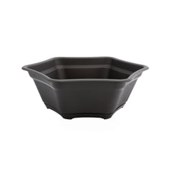 Vaso Desli Preto Com Prato Para Suculentas E Bonsai