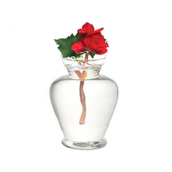 Vaso Luvidarte Bojudo Transparente