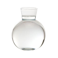 Vaso Luvidarte Bolinha Transparente Para Jardim