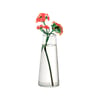 Vaso Luvidarte Cone Transparente Tamanho 1 Para Jardim