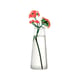 Vaso Luvidarte Cone Transparente Tamanho 1 Para Jardim - Tamanho 1